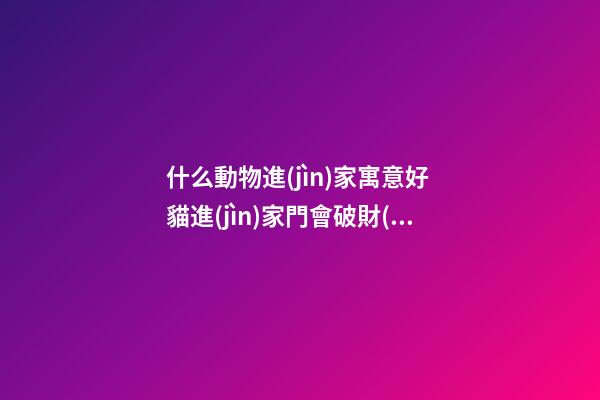 什么動物進(jìn)家寓意好 貓進(jìn)家門會破財(cái)嗎